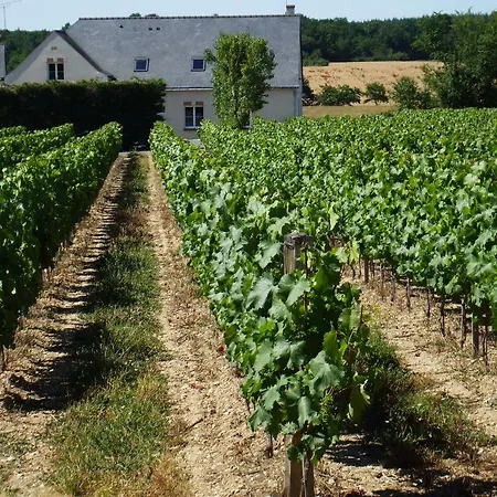 Bed & Breakfast Le Logis De Clope Chien