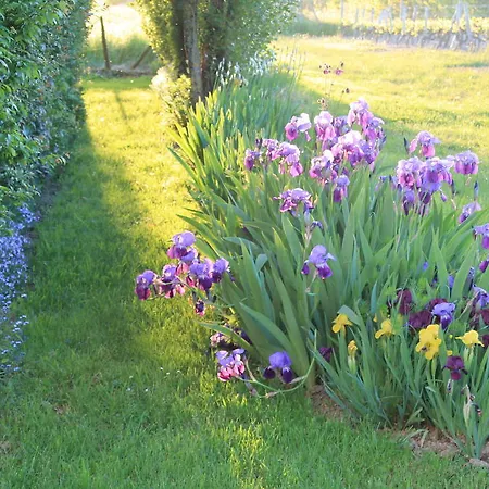Bed & Breakfast Le Logis De Clope Chien *